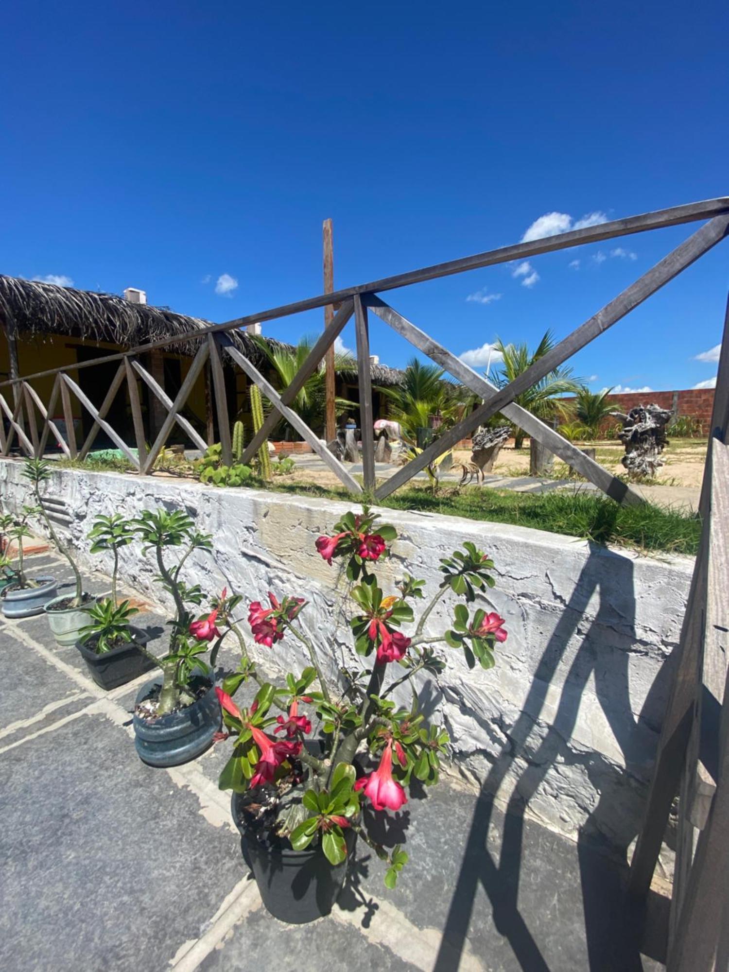 Pousada Rancho Sol Nascente Tutóia Eksteriør billede